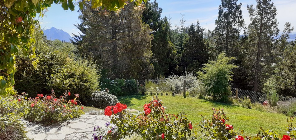 Lindisima Casa en Pehuenes
