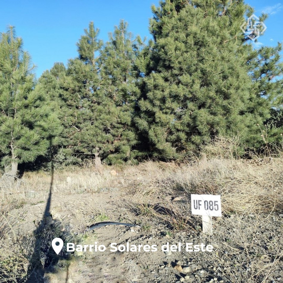 Varios lotes en venta en Solares