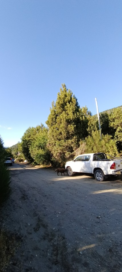 Lote en Villa Los Coihues