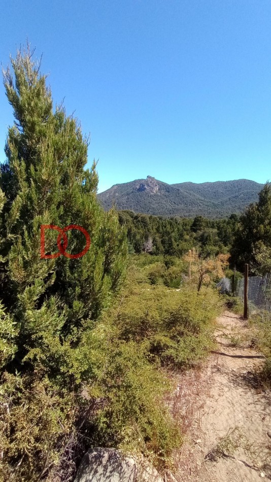 Vista al lago y montañas