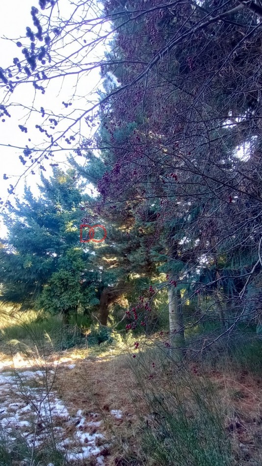 Lote en Peninsula San Pedro