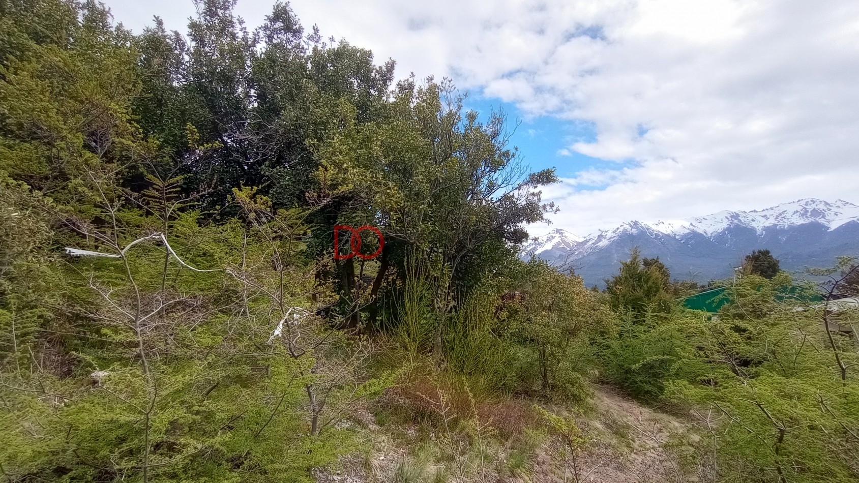 Vista al lago y montañas