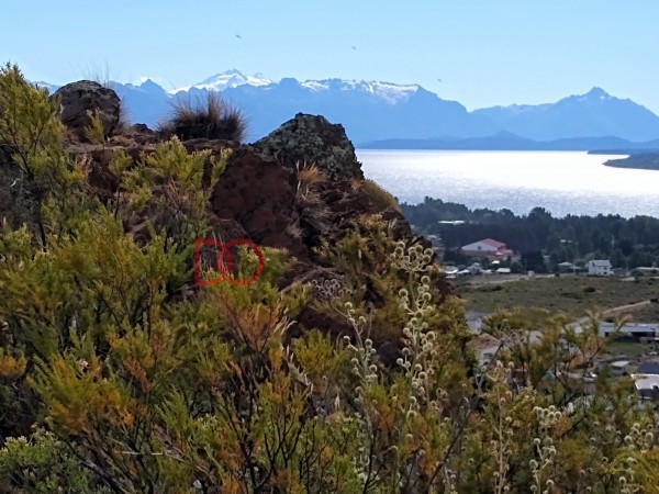 "La Cima" - Lote 402