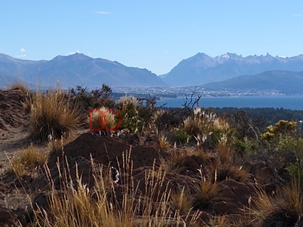 "La Cima" - Lote 402