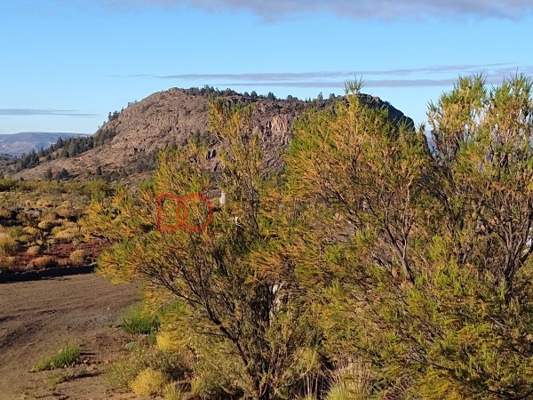 Lote Vista Plena