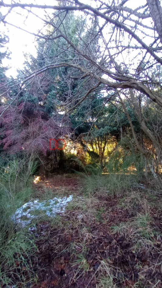 Lote en Peninsula San Pedro