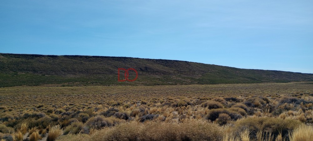 Campo en venta
