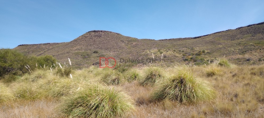 Campo en venta