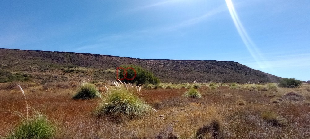 Campo en venta