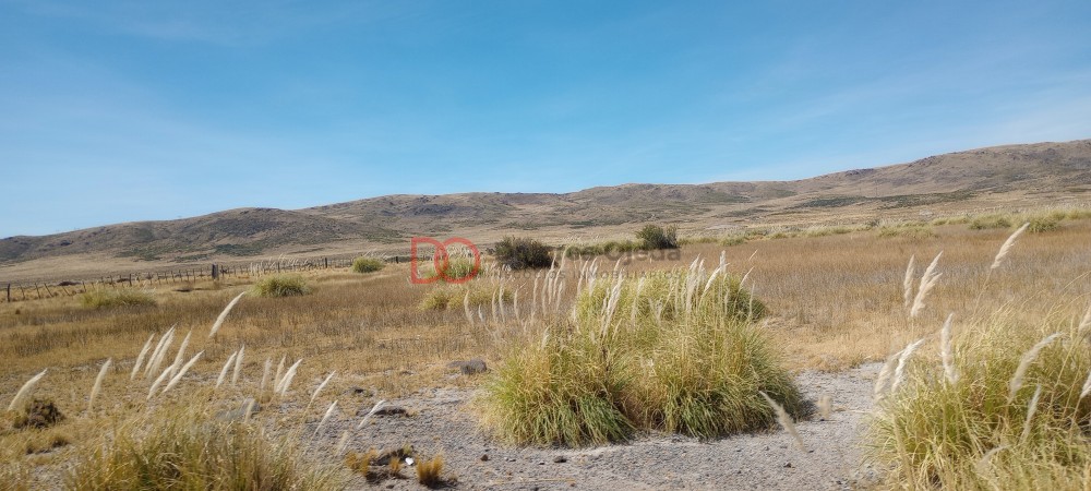 Campo en venta