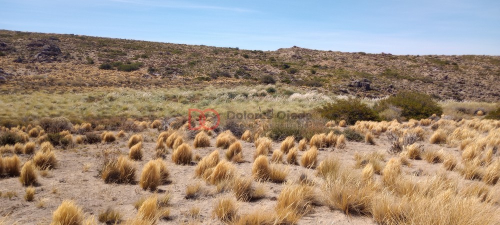 Campo en venta