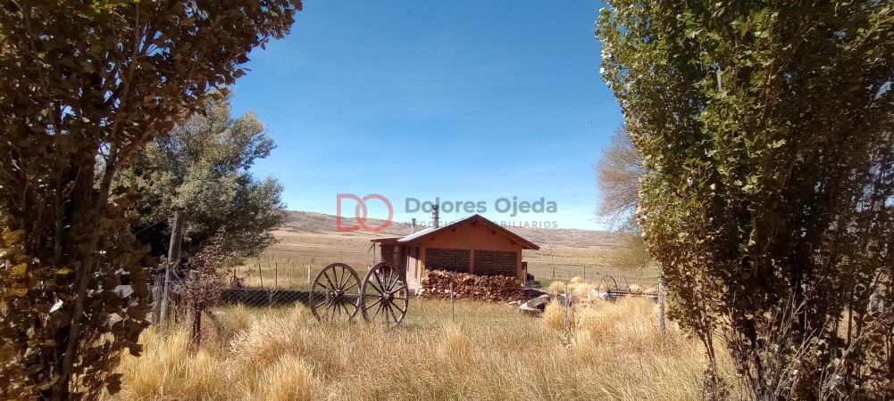 Campo en venta