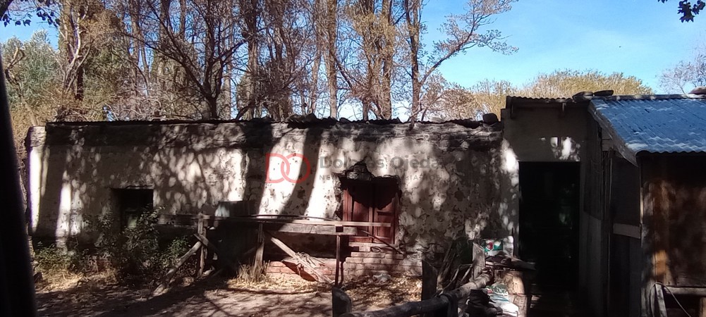Campo en venta