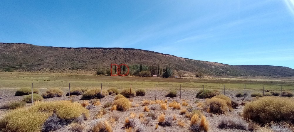 Campo en venta