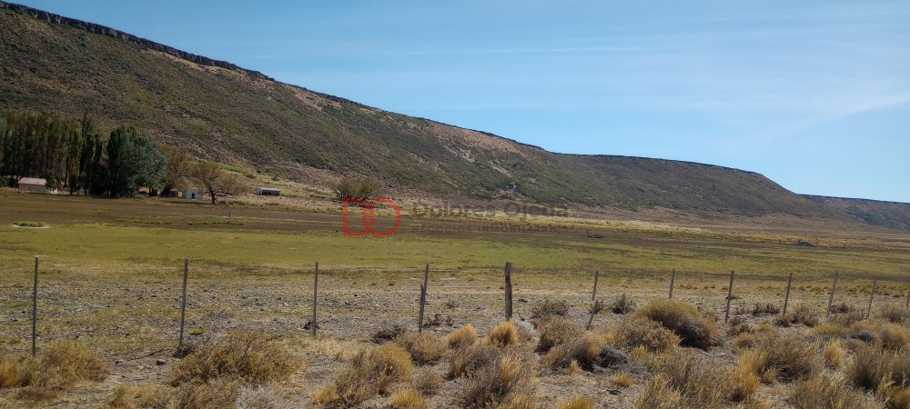 Campo en venta