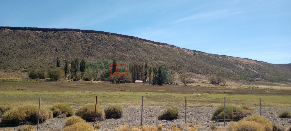 Campo en venta