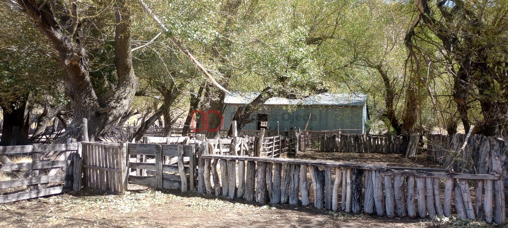 Campo en venta