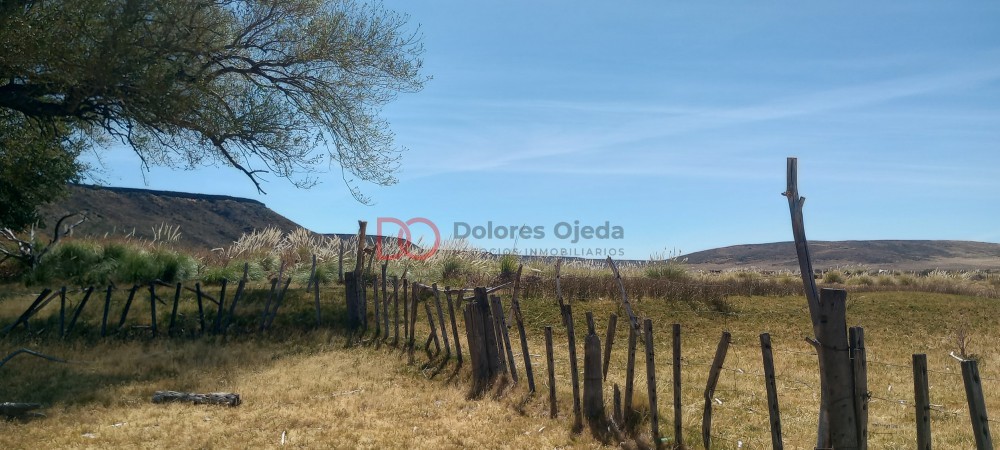 Campo en venta