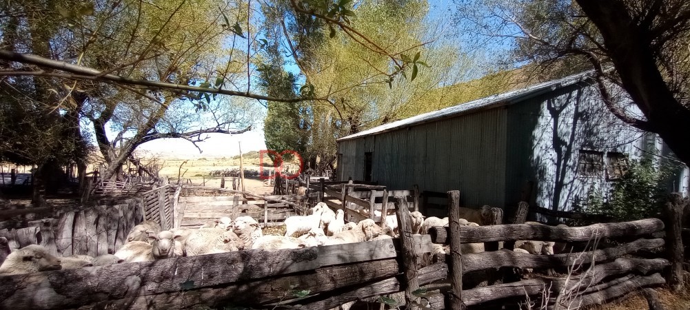 Campo en venta