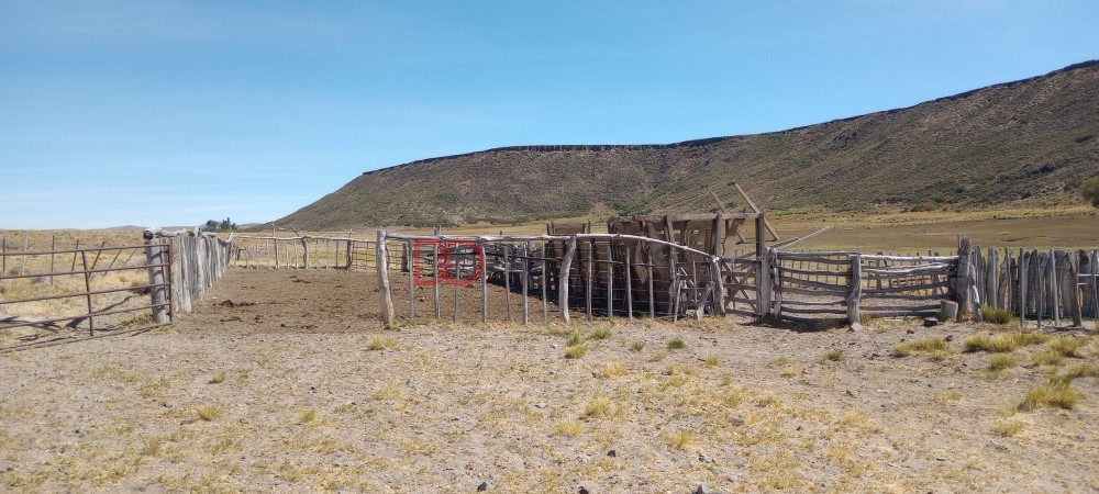 Campo en venta