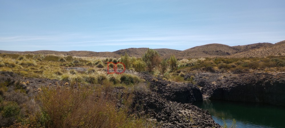 Campo en venta