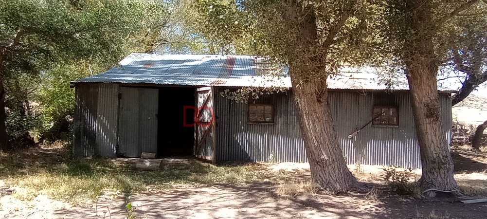 Campo en venta