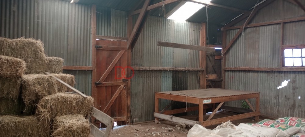 Campo en venta