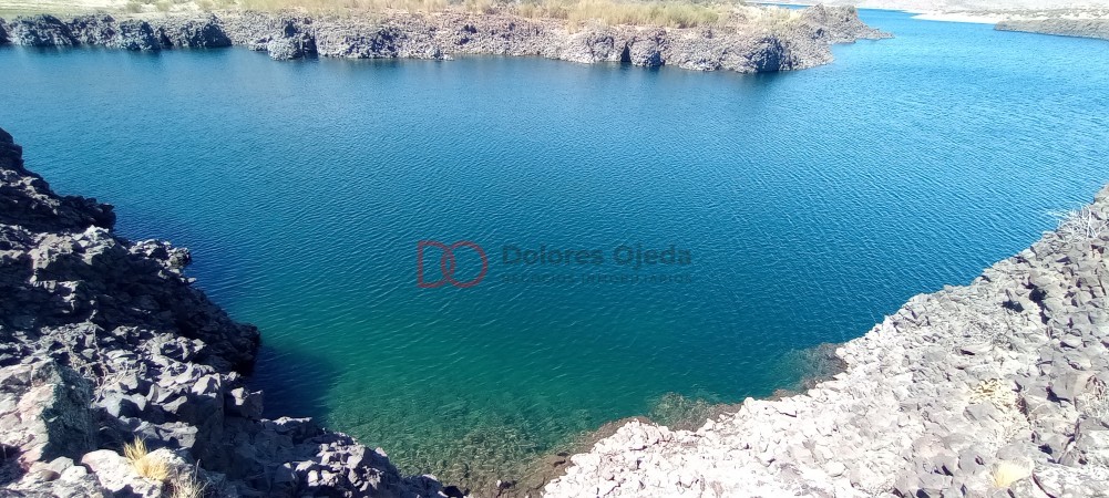 Campo en venta