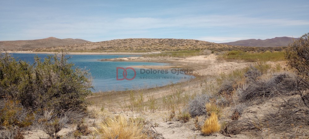 Campo en venta