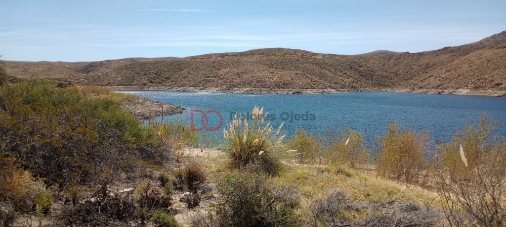 Campo en venta