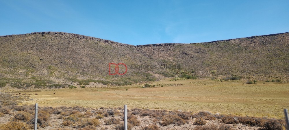 Campo en venta