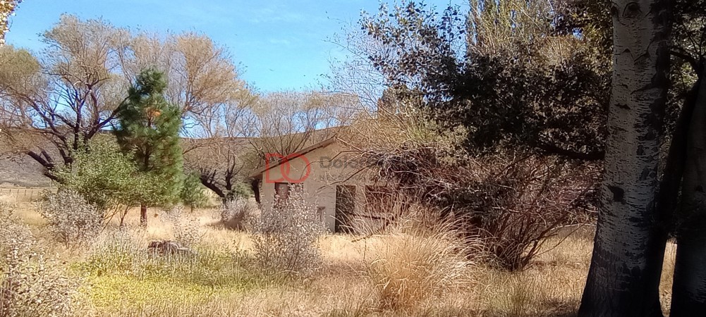 Campo en venta
