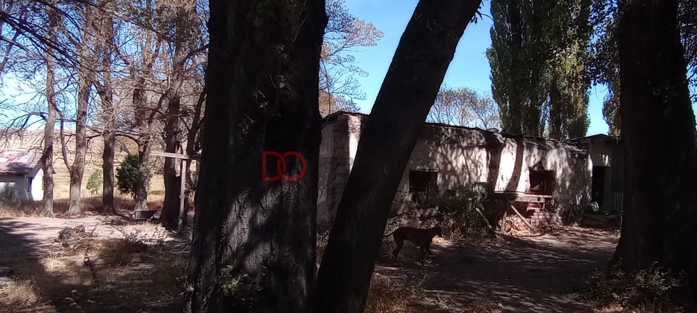 Campo en venta