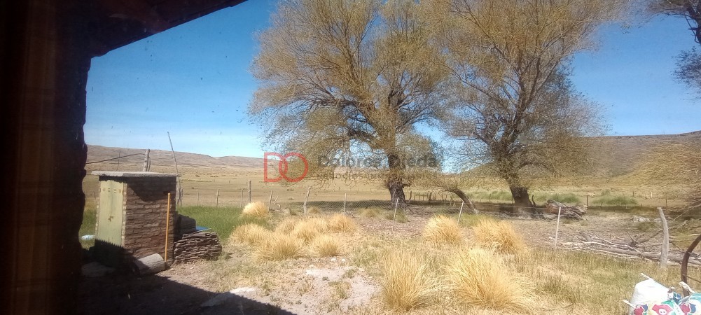 Campo en venta