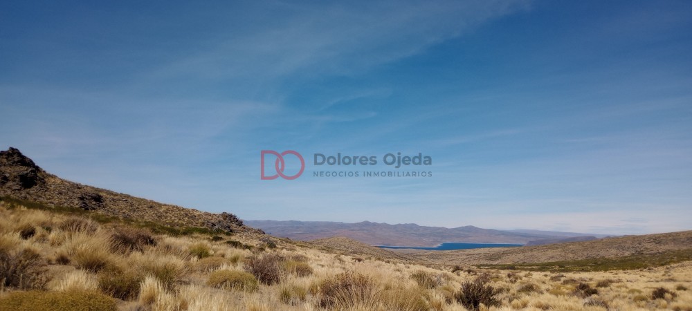 Campo en venta