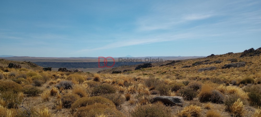 Campo en venta