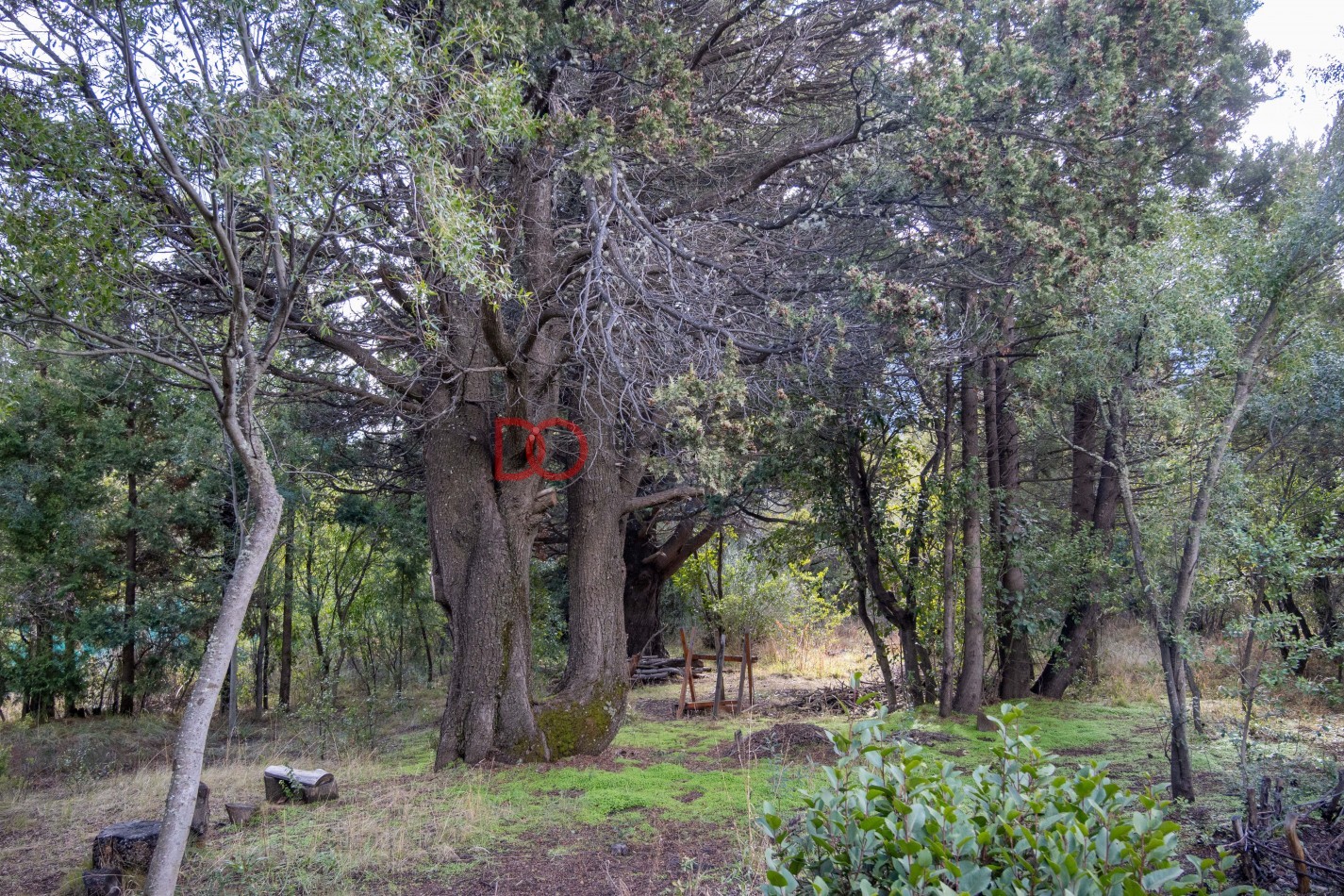 Casa Villa Lago Gutierrez con Vista