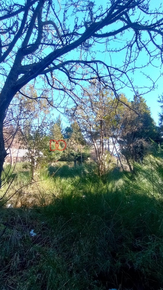 Lote en Peninsula San Pedro