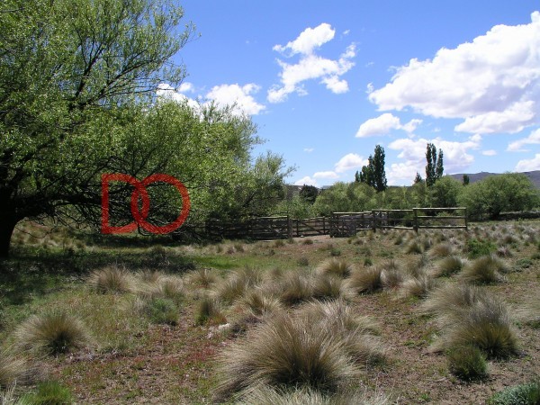 Casa de Campo 