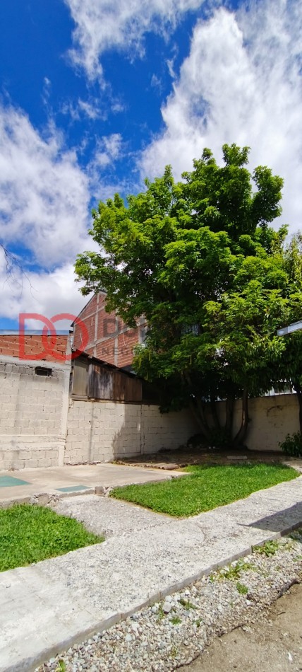 Alquiler casa urbana mas departamento o local comercial