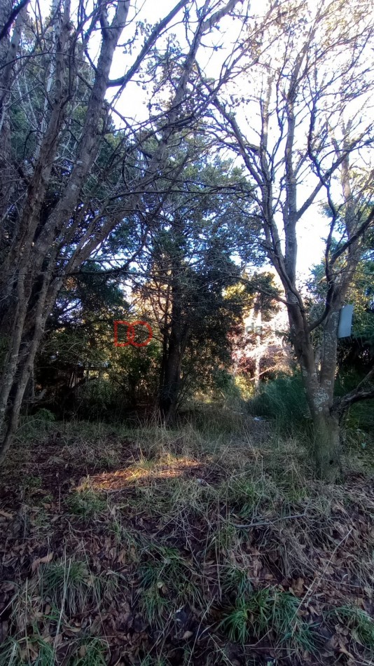 Lote en Peninsula San Pedro