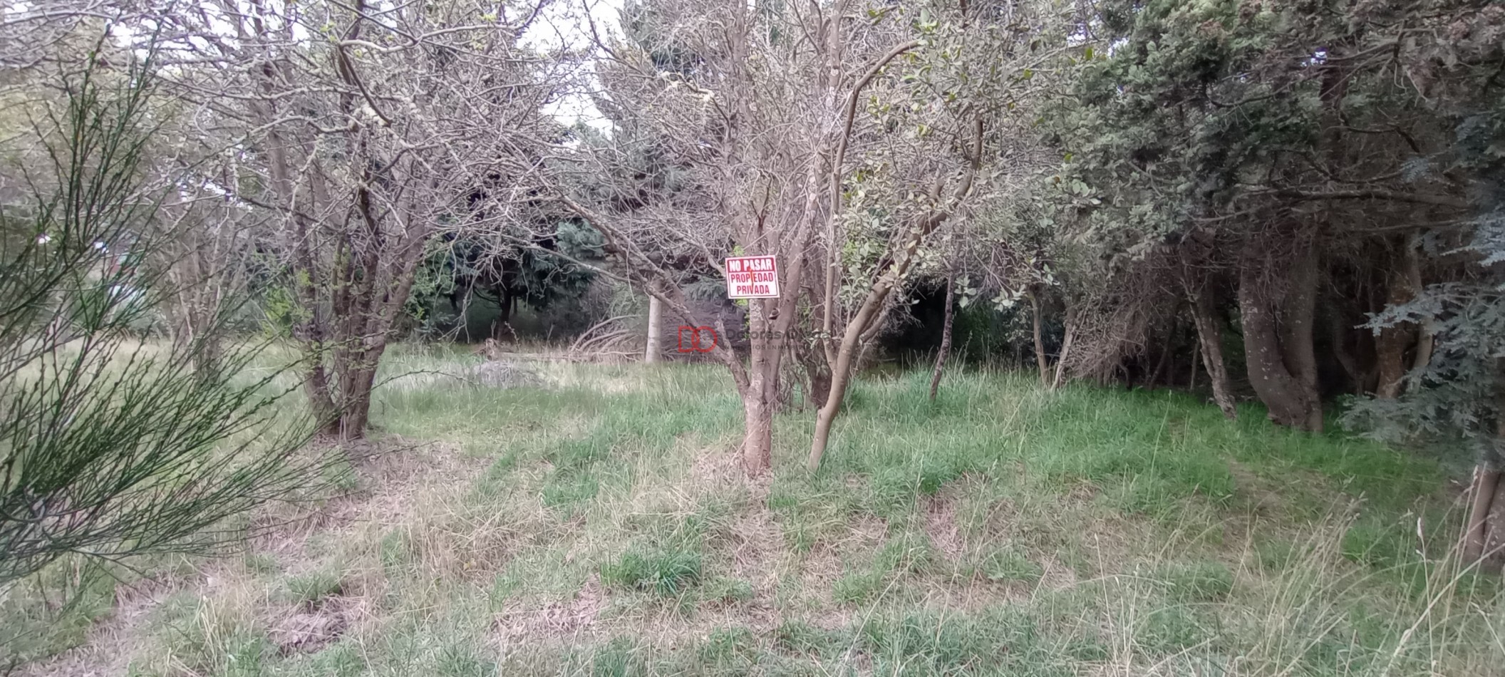 Lote en Peninsula San Pedro