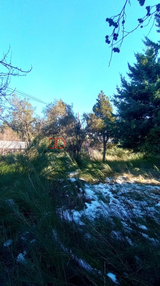 Lote en Peninsula San Pedro