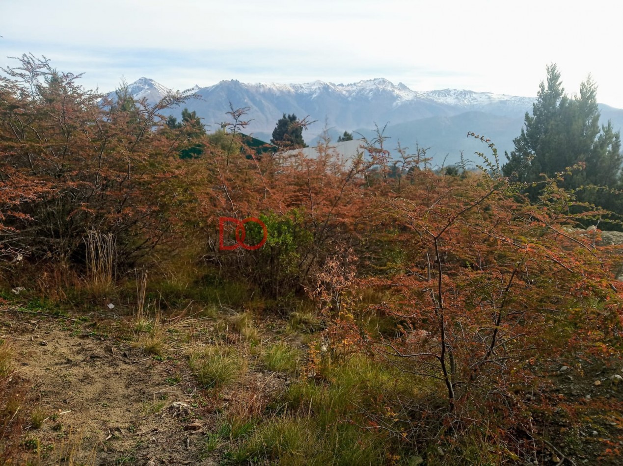 Vista al lago y montañas