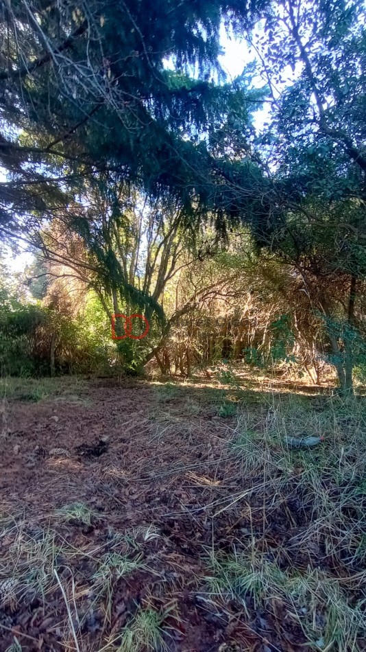 Lote en Peninsula San Pedro