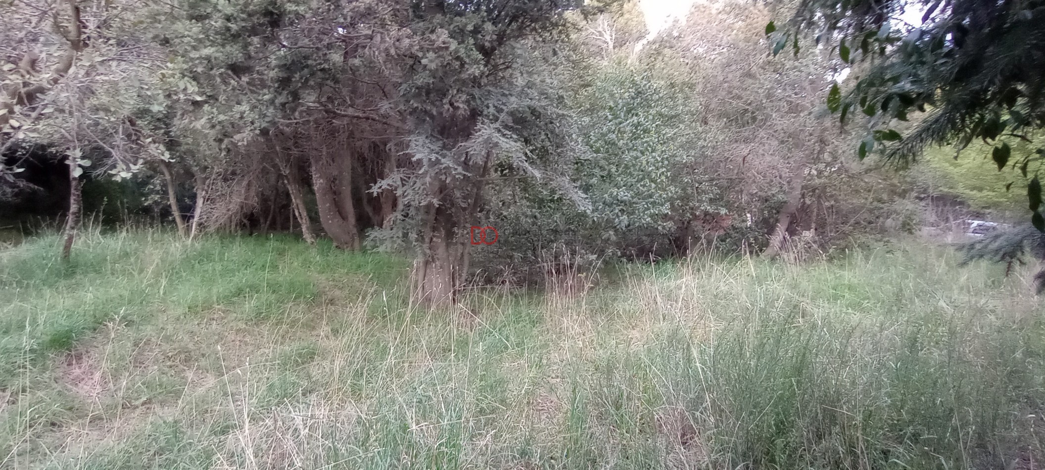 Lote en Peninsula San Pedro