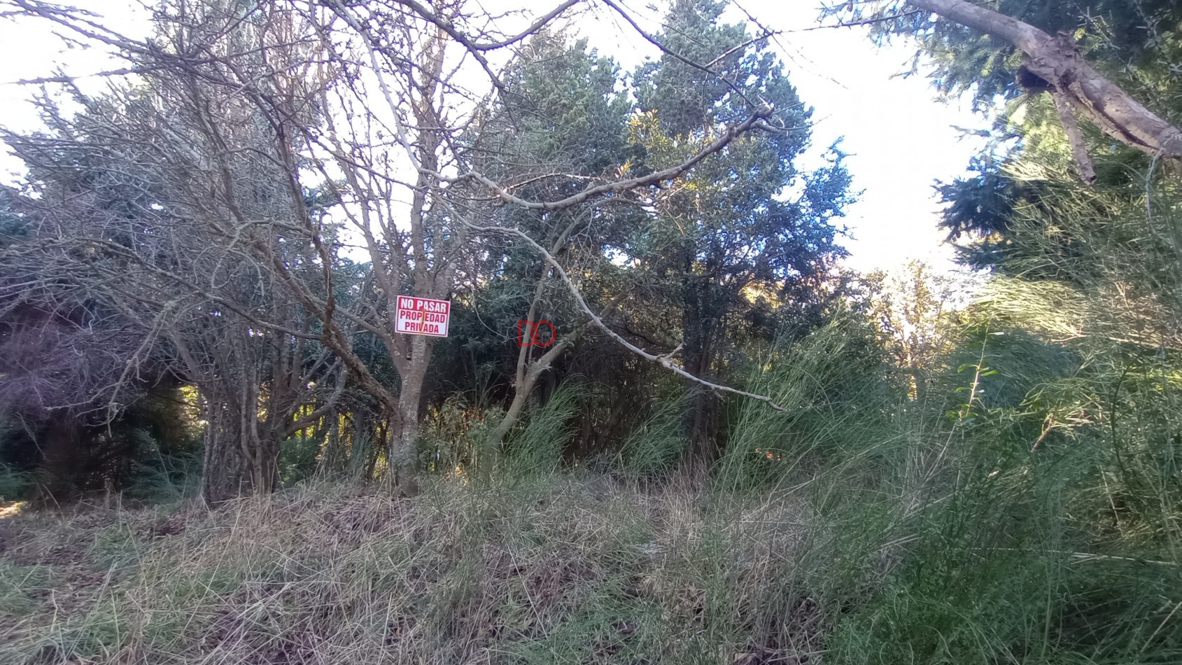 Lote en Peninsula San Pedro