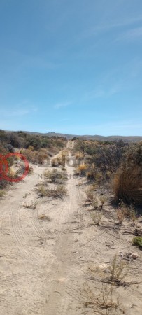 Campo en venta