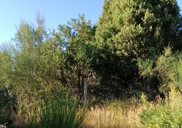 Lote en Villa Los Coihues